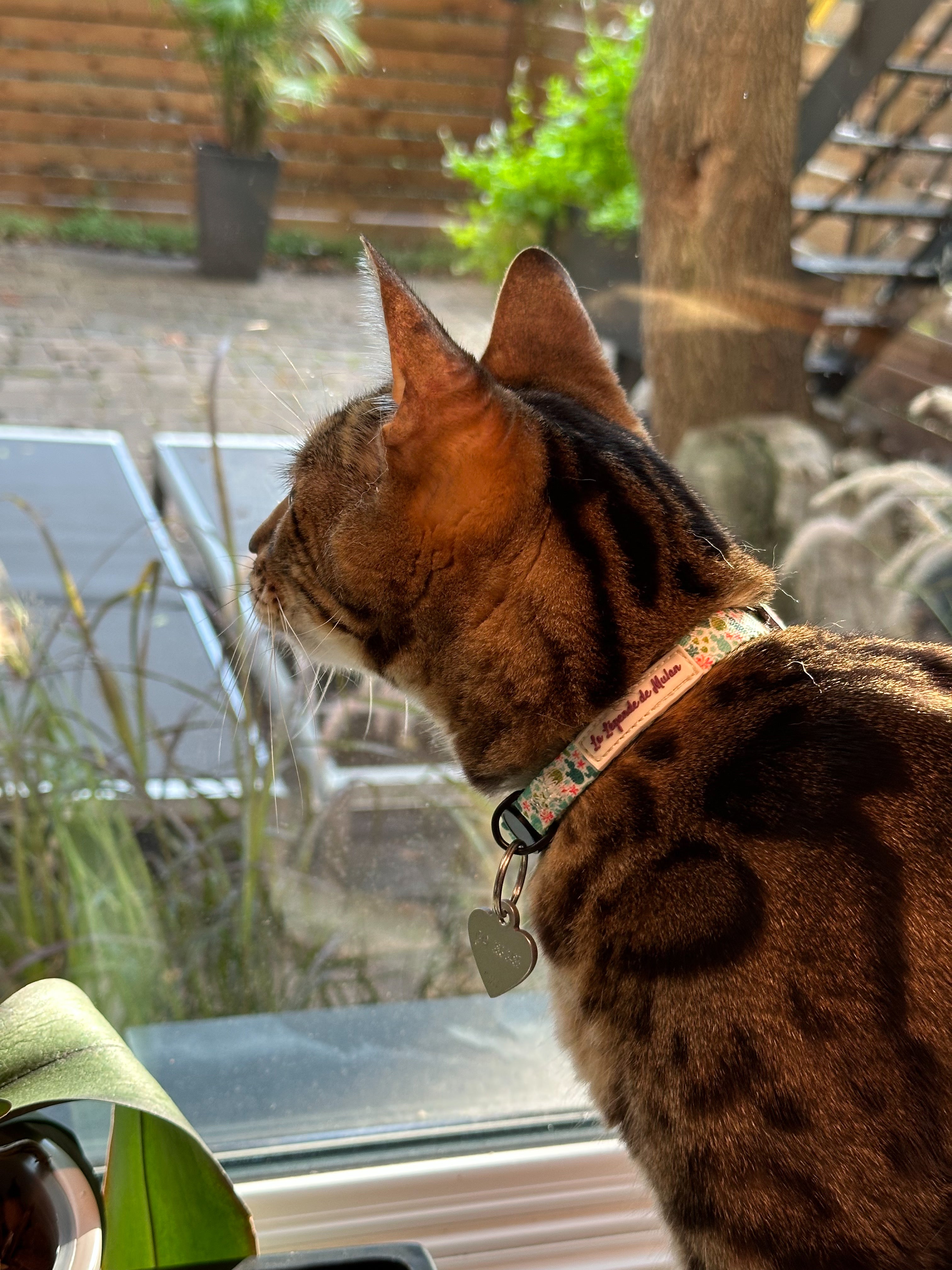 Collier chat sécuritaire-Cactus Bloom🌵🌸