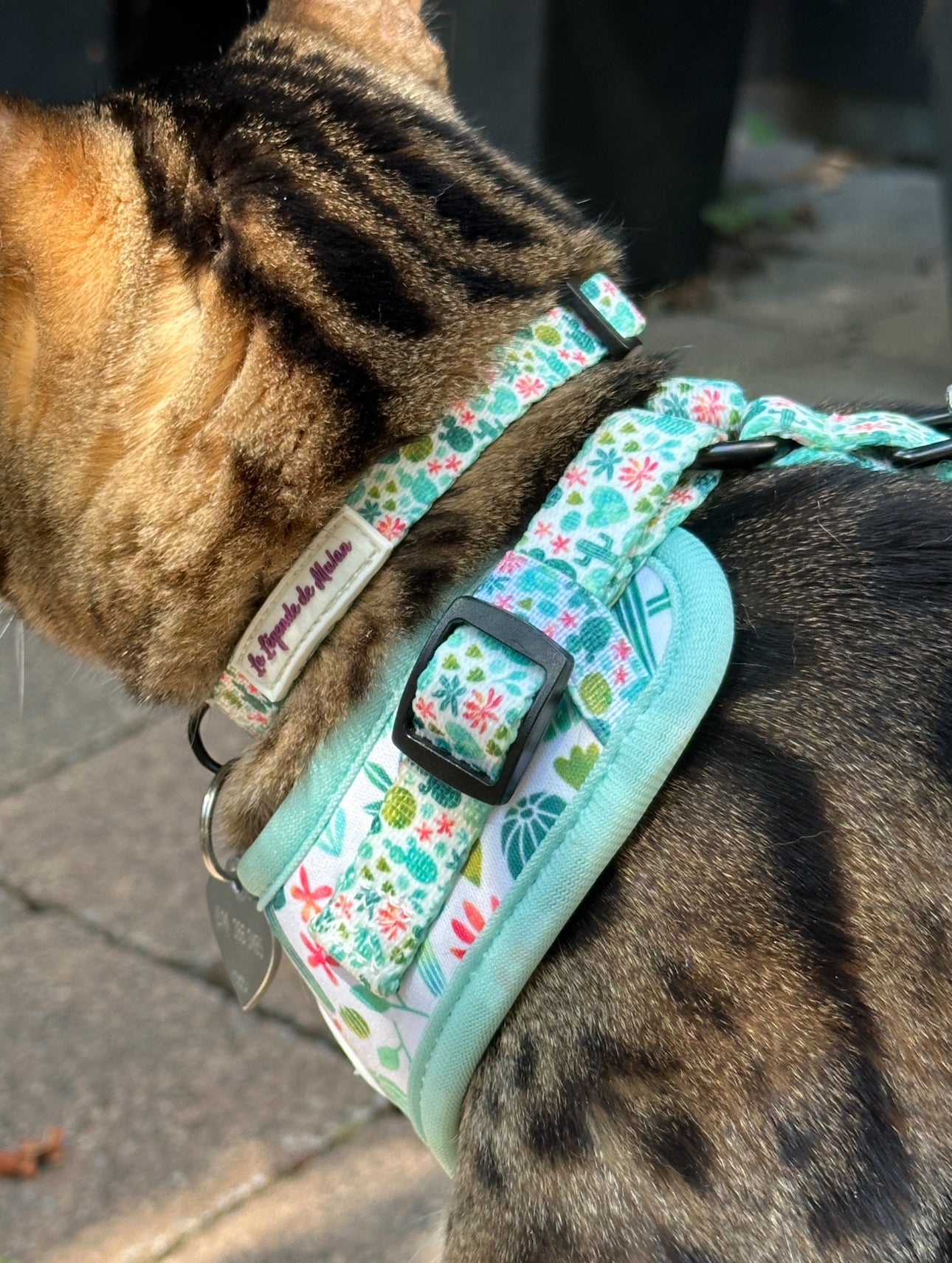 Collier chat sécuritaire-Cactus Bloom🌵🌸