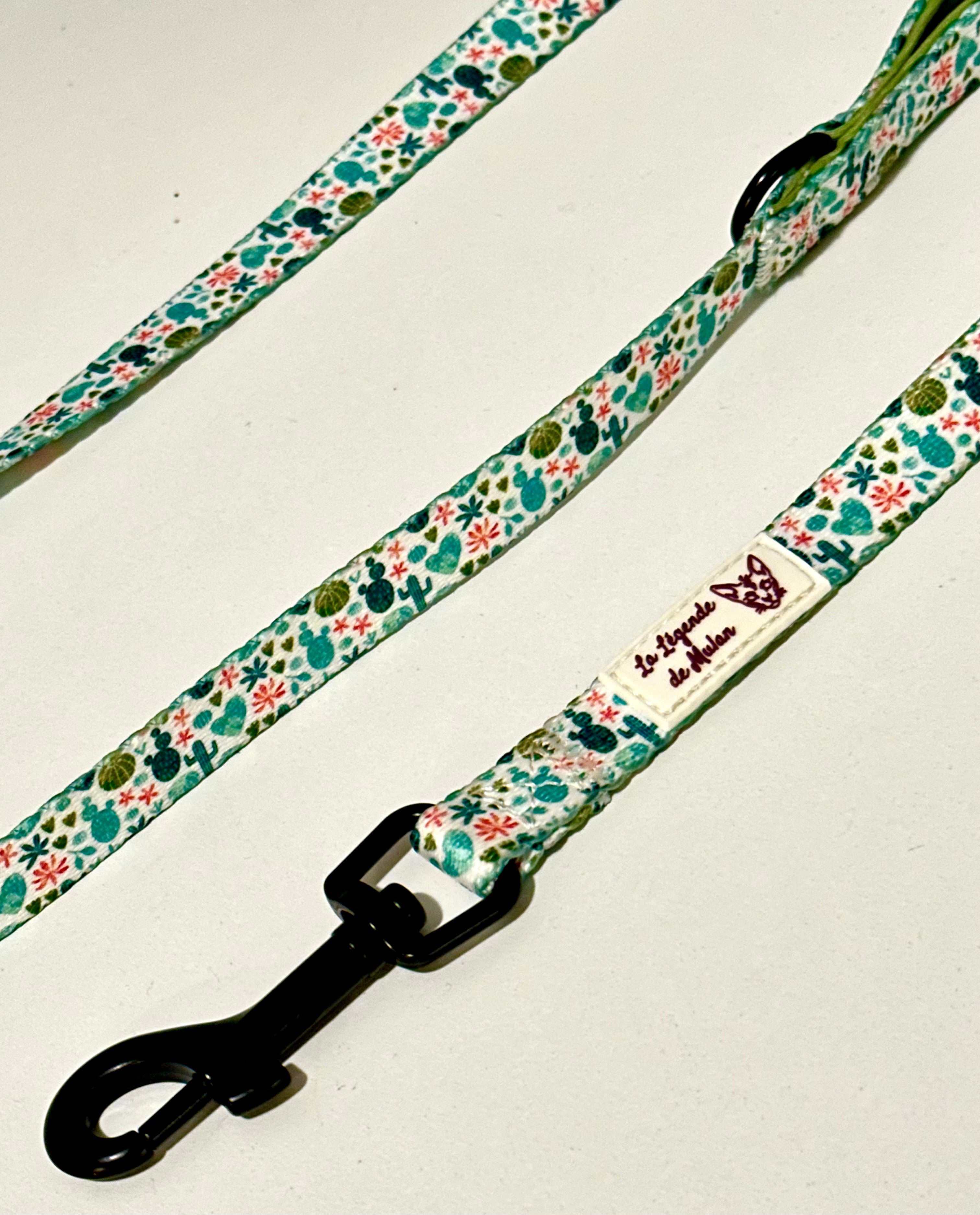 Laisse chat-Cactus Bloom🌵🌸