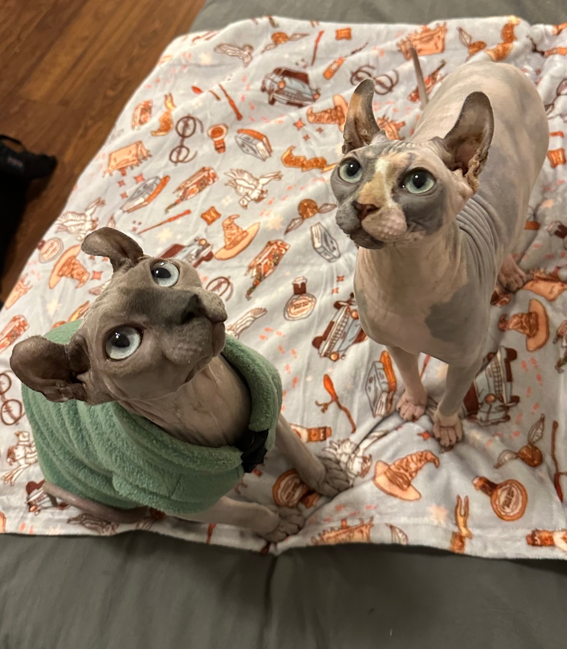 Doudous-Fall vibes🍂