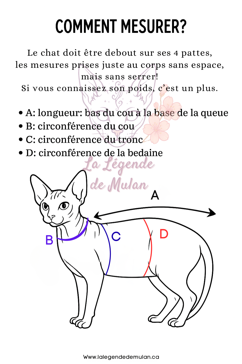 Harnais chat-Cactus Bloom🌵🌸