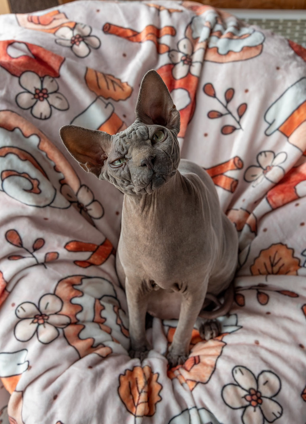 Doudou-Rêve d’épices🍂🎃